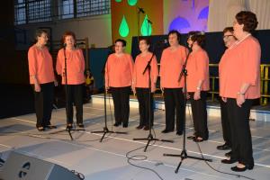 7Dobrodelni-koncert-2017-54