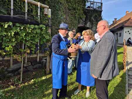 Trta je letos bogato obrodila, kar je rezultat skrbne nege in strokovnega znanja grajskega viničarja Mihaela Fajfarja (levo).